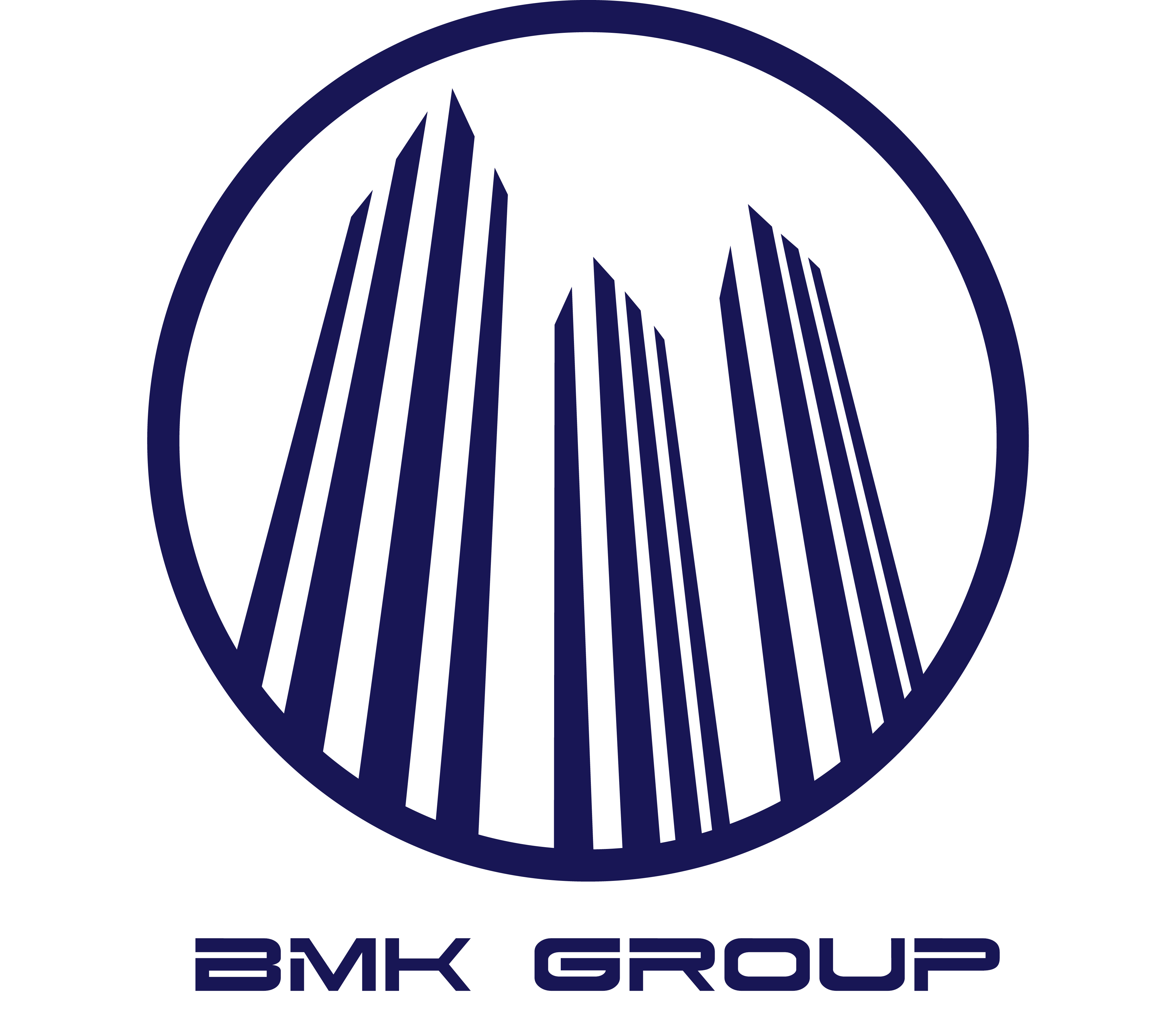 CÔNG TY CỔ PHẦN TẬP ĐOÀN BMK