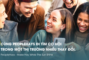 (560 x 390) PeopleHays web design  (1200 x 600 px) (2).png