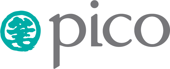 PICO HCMC LTD