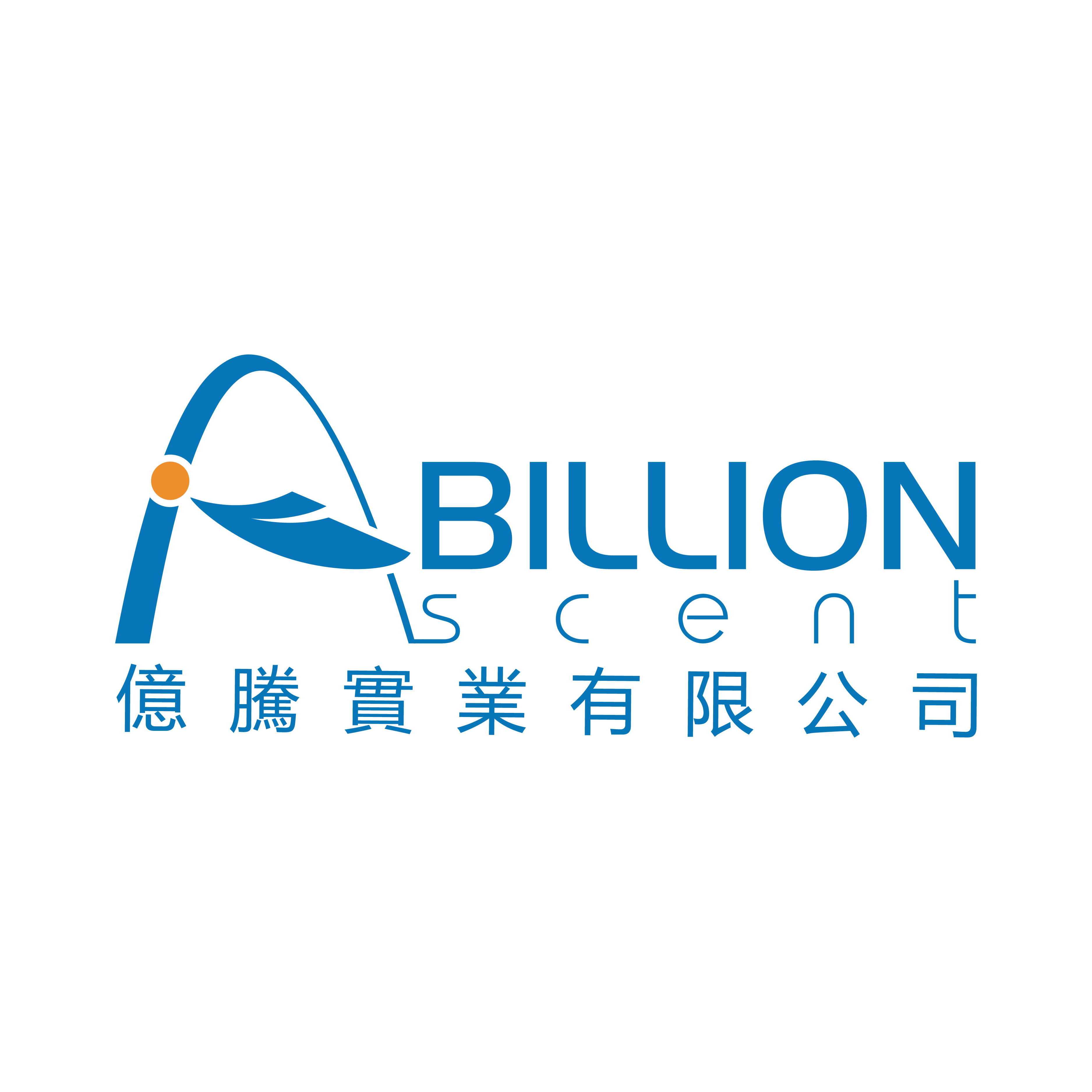 CÔNG TY TNHH BILLION VIETNAM HOLDING