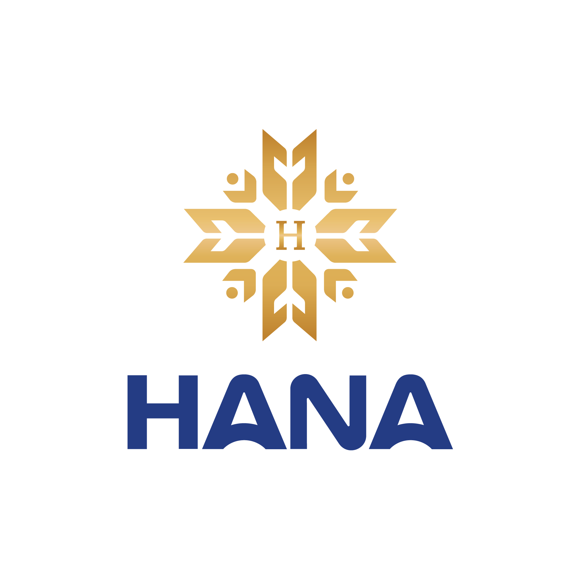 Hana Vietnam